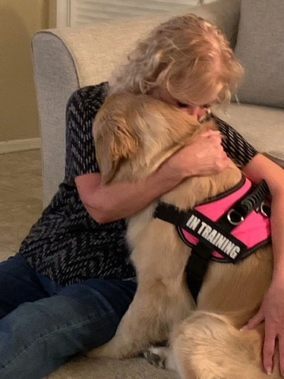 Martha Scott holding London Hope of the Valley, a Golden Retriever in a pink in-training harness